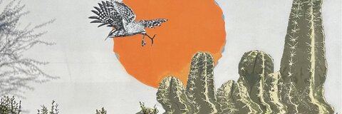 Leaked travis8x6 header onlyfans leaked