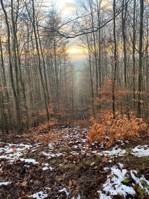 Leaked trinkerbellx header onlyfans leaked