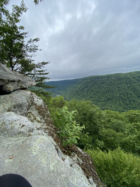 Leaked tumsbaby header onlyfans leaked