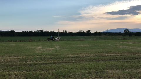 Leaked twink20_01 header onlyfans leaked