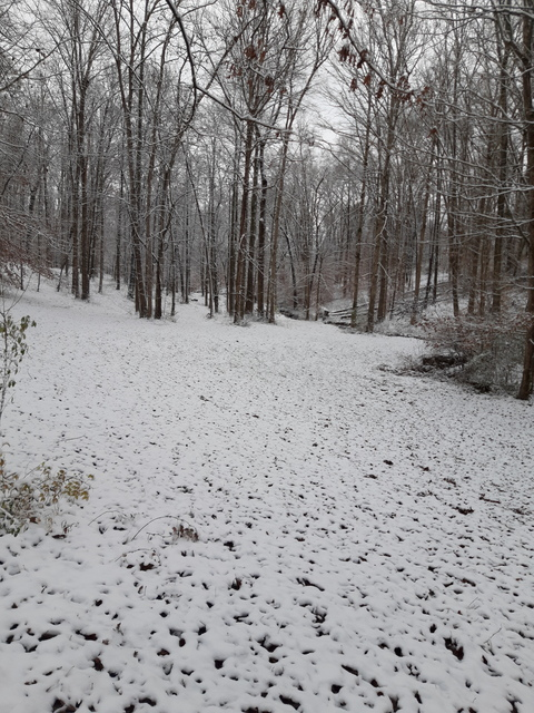 Leaked u116287468 header onlyfans leaked