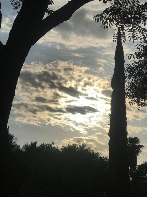 Leaked u125389150 header onlyfans leaked