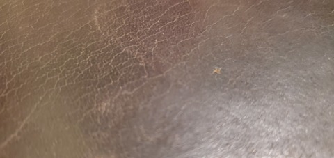 Leaked u12695391 header onlyfans leaked