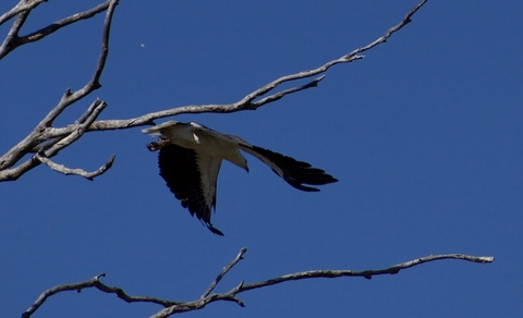 Leaked u141590071 header onlyfans leaked