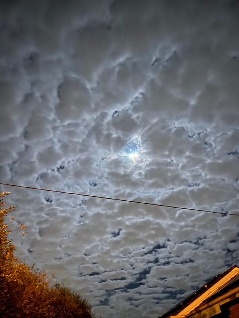 Leaked u160800781 header onlyfans leaked