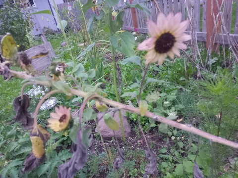 Leaked u171497136 header onlyfans leaked