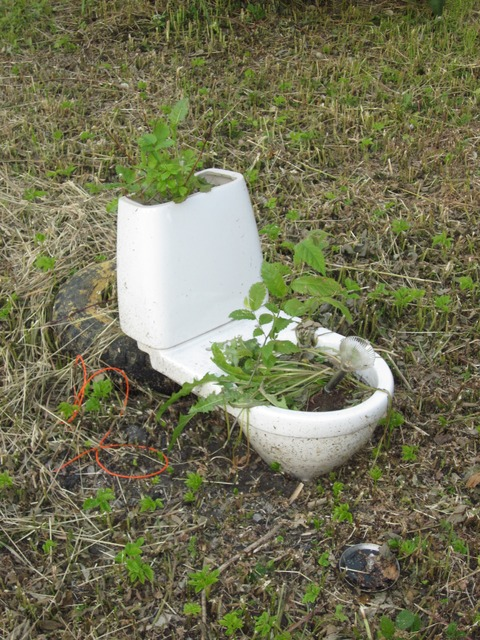 Leaked u256382187 header onlyfans leaked