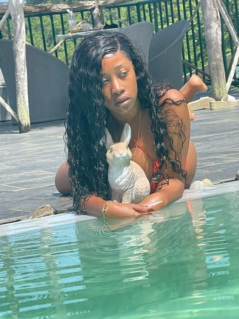 Leaked u259346831 header onlyfans leaked