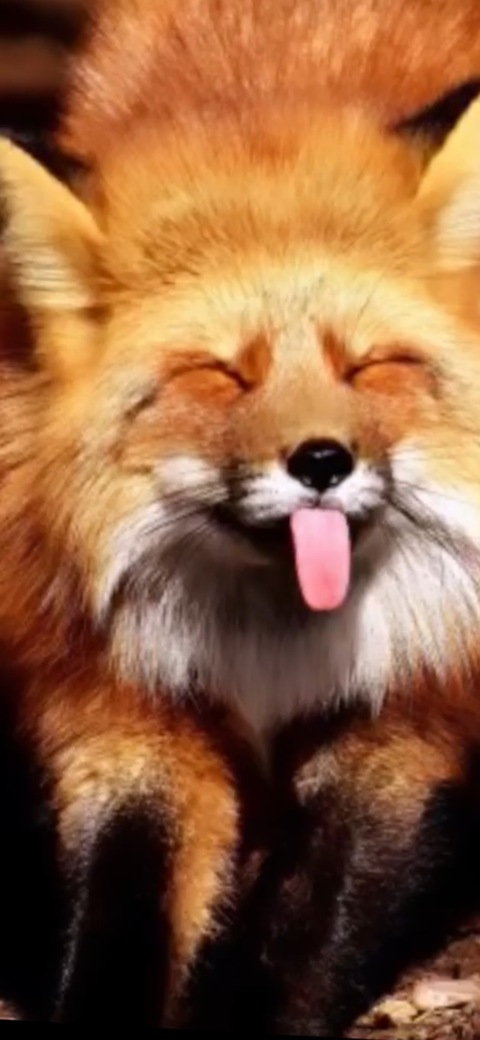 Leaked u271127265 header onlyfans leaked