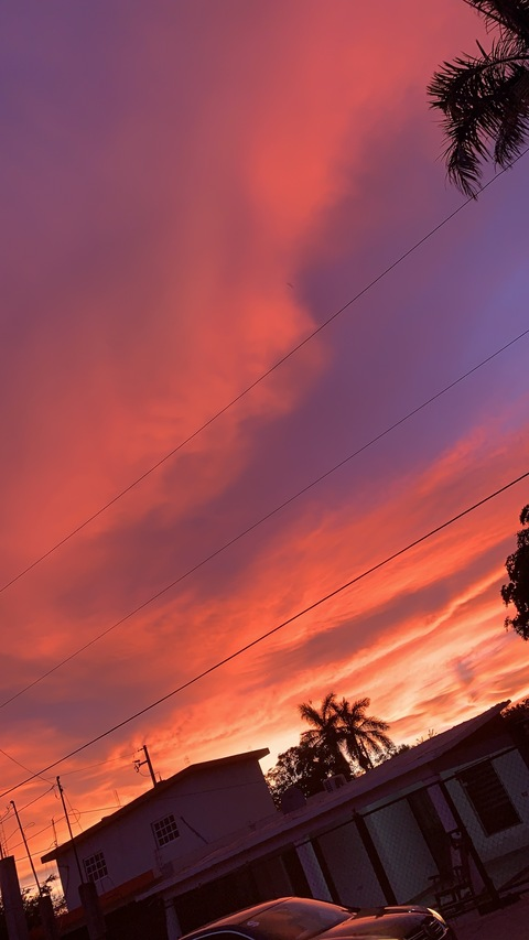 Leaked u274152113 header onlyfans leaked