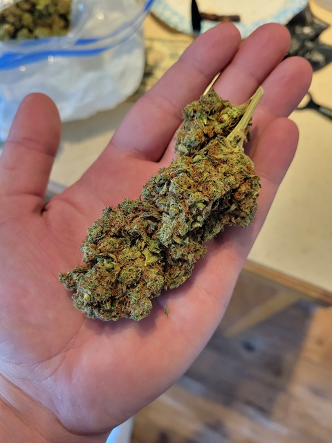 Leaked u61861357 header onlyfans leaked