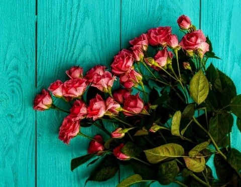 Leaked underthemoonlight69 header onlyfans leaked