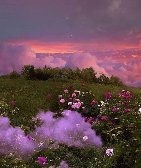 Leaked uwupermittedzone header onlyfans leaked