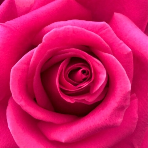 Leaked valejetzahel header onlyfans leaked