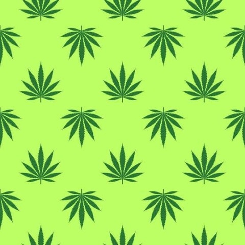 Leaked vannah_gant header onlyfans leaked