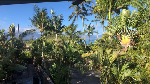 Leaked vegasmalibubarbie header onlyfans leaked