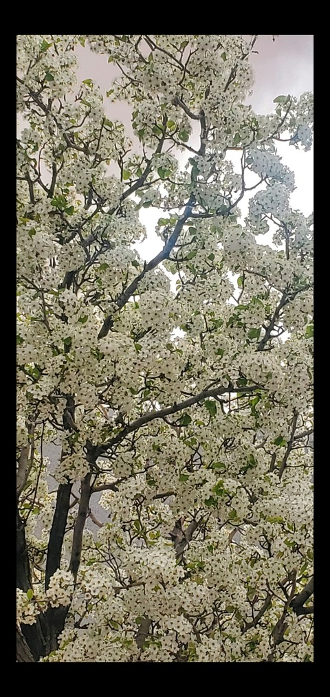 Leaked veggiesaur67 header onlyfans leaked