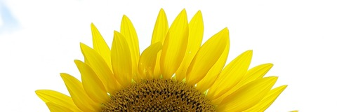 Leaked violetsremains header onlyfans leaked