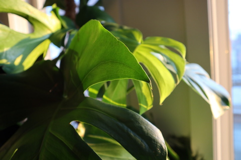 Leaked welcometothewoods header onlyfans leaked