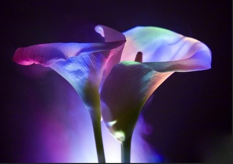 Leaked wetdreamnextdoor header onlyfans leaked