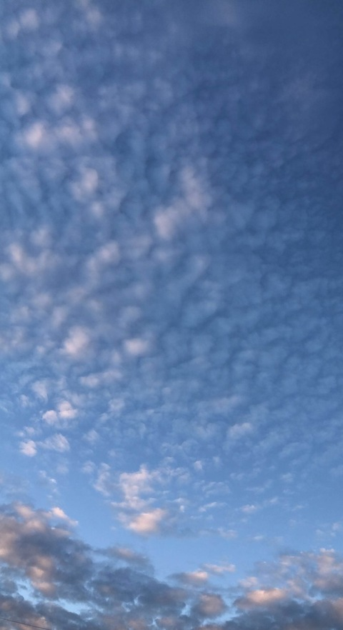 Leaked whatsup_buttercup header onlyfans leaked