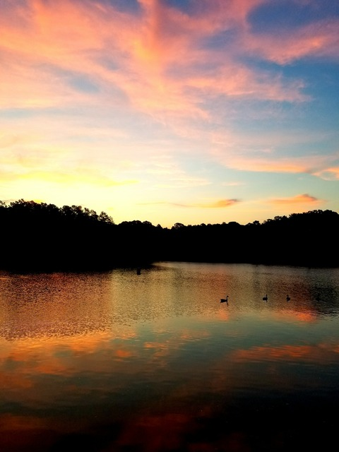 Leaked wickedsmurf44 header onlyfans leaked