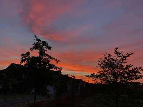 Leaked winni3thebunnie header onlyfans leaked