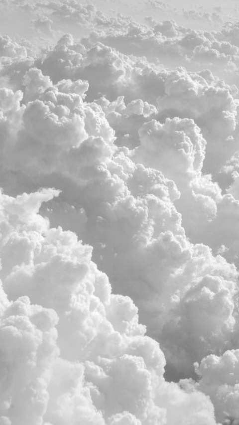 Leaked x444layla header onlyfans leaked