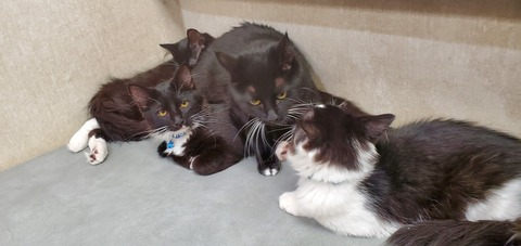 Leaked x_oni_x header onlyfans leaked