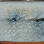 xebonyxrosex (Michelle Maple) OnlyFans Leaked Content 

 profile picture