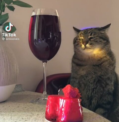 Leaked xemai0028 header onlyfans leaked