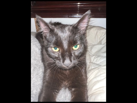 Leaked xkylie.xo header onlyfans leaked