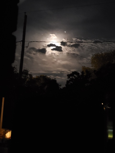 Leaked xobellaxoella header onlyfans leaked