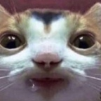 Leaked xochitlxochi onlyfans leaked