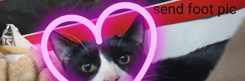 Leaked xstacytgx header onlyfans leaked