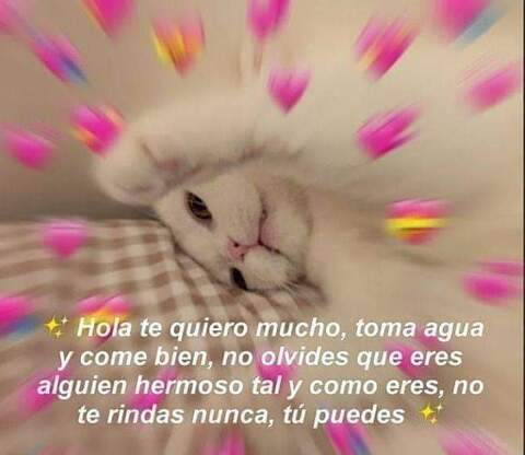 Leaked xxigotneedsxx header onlyfans leaked