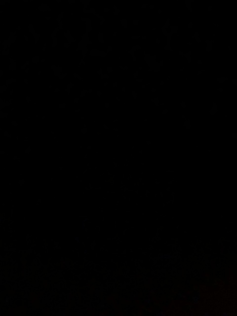 Leaked xxxtalia header onlyfans leaked