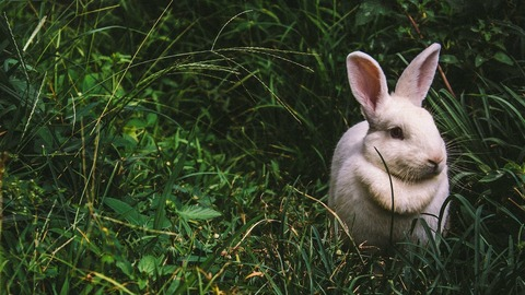 Leaked xxxtatic header onlyfans leaked