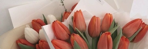 Header of yajhayraxxx
