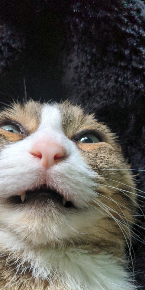 Leaked yourperfectdisaster header onlyfans leaked