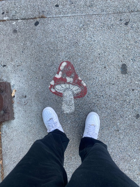 Leaked zay_bandz header onlyfans leaked