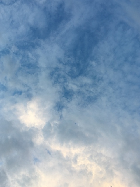 Leaked zlayz_xx header onlyfans leaked